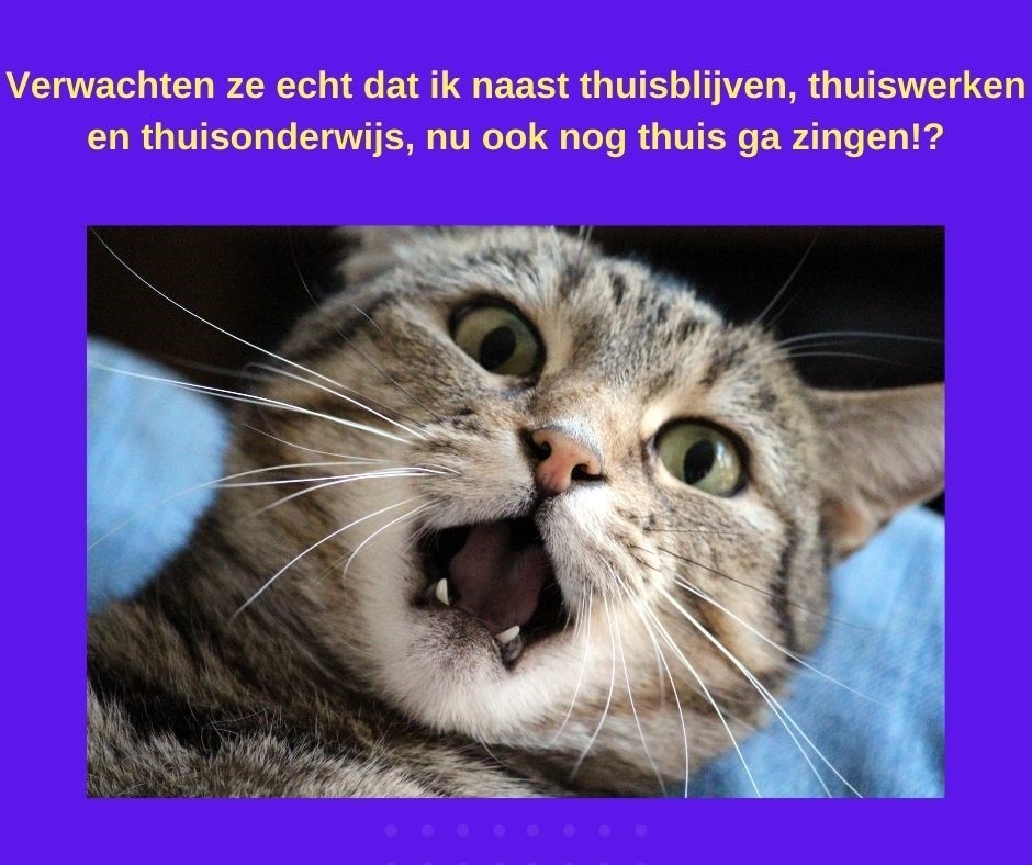 thumbnail Afbeelding bij stukje voor website